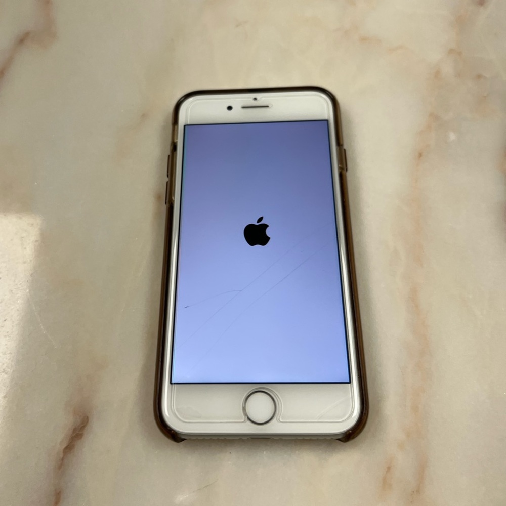 iPhone 8, 256GB, iOS 15.5